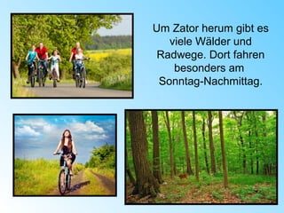 Um Zator herum gibt es
viele Wälder und
Radwege. Dort fahren
besonders am
Sonntag-Nachmittag.
 
