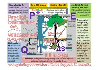 Ecological rainfall infrastructure -Meine van Noordwijk 