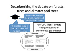 Ecological rainfall infrastructure -Meine van Noordwijk 