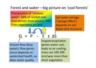 Ecological rainfall infrastructure -Meine van Noordwijk 