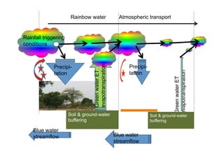 Ecological rainfall infrastructure -Meine van Noordwijk 