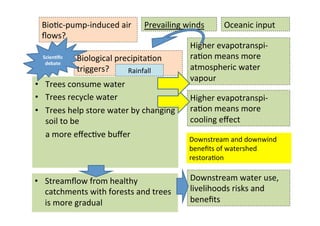 Ecological rainfall infrastructure -Meine van Noordwijk 