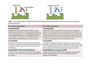 Ecological rainfall infrastructure -Meine van Noordwijk 