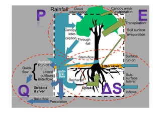 Ecological rainfall infrastructure -Meine van Noordwijk 