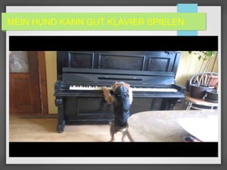 MEIN HUND KANN GUT KLAVIER SPIELEN
 