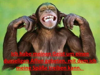 Ich habe meinen Geist um einen dusseligen Affen gebeten, mit dem ich meine Späße treiben kann.  