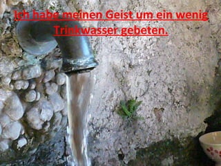 Ich habe meinen Geist um ein wenig Trinkwasser gebeten. 