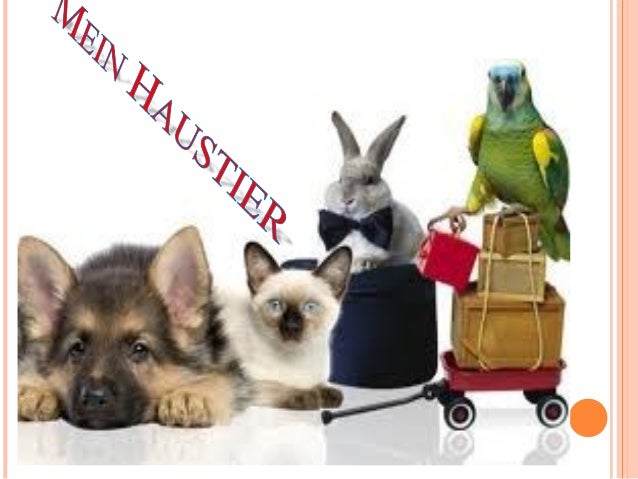Mein Haustier Mein Haustier