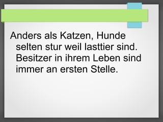 Anders als Katzen, Hunde
selten stur weil lasttier sind.
Besitzer in ihrem Leben sind
immer an ersten Stelle.