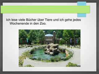 Ich lese viele Bücher über Tiere und ich gehe jedes
Wochenende in den Zoo.