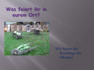 Wir feiern die 
Krauttage im 
Oktober 
 