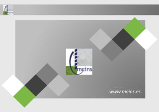 www.meins.es
 