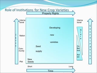 Time Short Long Space Plot Com-munity Nation International Property Rights Coordination International State Co llec tive  Act ion New Seeds Seed  supply Developing  new  varieties 