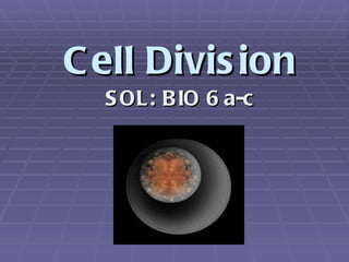 Cell Division SOL: BIO 6 a-c 