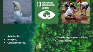 • Adaptação;
• Integrar;
• Conscientização;
 