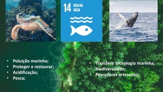 • Poluição marinha;
• Proteger e restaurar;
• Acidificação;
• Pesca;
 