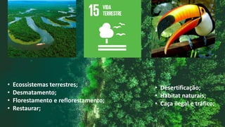 • Ecossistemas terrestres;
• Desmatamento;
• Florestamento e reflorestamento;
• Restaurar;
 