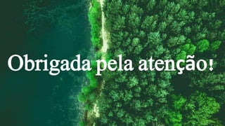 Obrigada pela atenção!
 