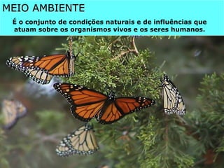 MEIO AMBIENTE
MEIO AMBIENTE
É o conjunto de condições naturais e de influências que
atuam sobre os organismos vivos e os seres humanos.
 