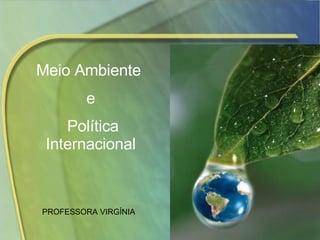 Meio Ambiente  e Política Internacional PROFESSORA VIRGÍNIA 