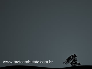 www.meioambiente.com.br 