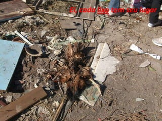 Ei, cada lixo tem seu lugar