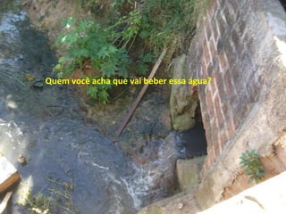 Quem você acha que vai beber essa água?