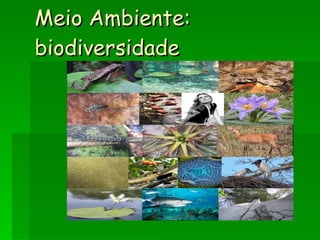 Meio Ambiente:  biodiversidade 