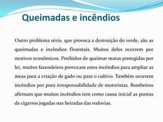 Queimadas e incêndios

Outro problema sério, que provoca a destruição do verde, são as
queimadas e incêndios florestais. Muitos deles ocorrem por
motivos econômicos. Proibidos de queimar matas protegidas por
lei, muitos fazendeiros provocam estes incêndios para ampliar as
áreas para a criação de gado ou para o cultivo. Também ocorrem
incêndios por pura irresponsabilidade de motoristas. Bombeiros
afirmam que muitos incêndios tem como causa inicial as pontas
de cigarros jogadas nas beiradas das rodovias.
 