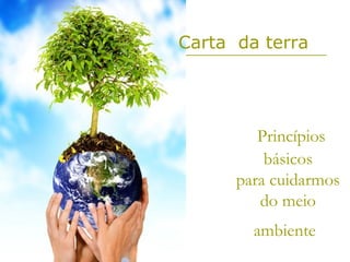 Carta da terra




         Princípios
          básicos
      para cuidarmos
         do meio
        ambiente
 