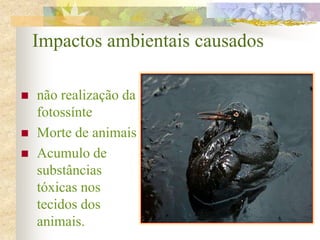 Impactos ambientais causados
 não realização da
fotossínte
 Morte de animais
 Acumulo de
substâncias
tóxicas nos
tecidos dos
animais.
 