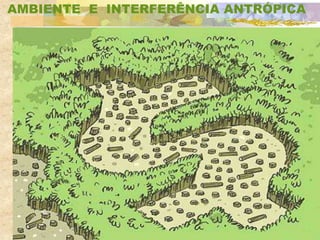 AMBIENTE E INTERFERÊNCIA ANTRÓPICA
 