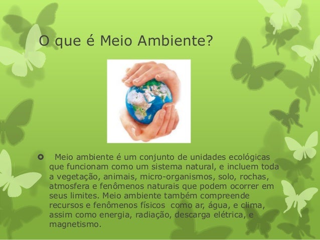 Quais São As Principais Características Do Meio Ambiente – LUZQ