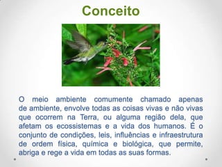 Conceito

O meio ambiente comumente chamado apenas
de ambiente, envolve todas as coisas vivas e não vivas
que ocorrem na Terra, ou alguma região dela, que
afetam os ecossistemas e a vida dos humanos. É o
conjunto de condições, leis, influências e infraestrutura
de ordem física, química e biológica, que permite,
abriga e rege a vida em todas as suas formas.

 