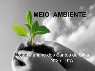 MEIO AMBIENTE

Nome:Mariane dos Santos da Silva
N°25 - 9°A

 