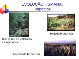 EVOLUÇÃO HUMANA:
Impactos
Sociedade de Coletores
e Caçadores
Sociedade Agrícola
Sociedade Industrial
 
