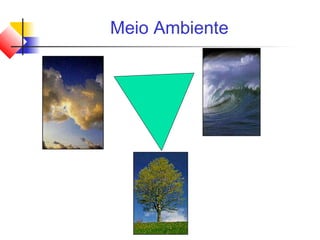 Meio Ambiente
 