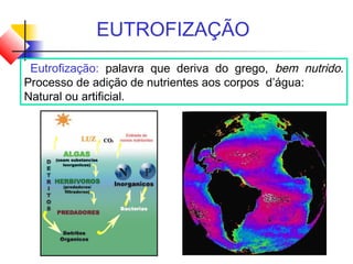 EUTROFIZAÇÃO
Eutrofização: palavra que deriva do grego, bem nutrido.
Processo de adição de nutrientes aos corpos d’água:
Natural ou artificial.
 