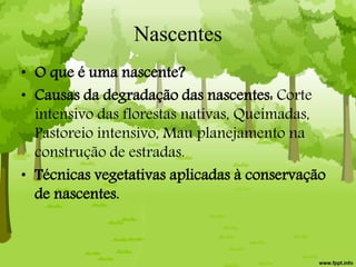 Nascentes
• O que é uma nascente?
• Causas da degradação das nascentes: Corte
intensivo das florestas nativas, Queimadas,
Pastoreio intensivo, Mau planejamento na
construção de estradas.
• Técnicas vegetativas aplicadas à conservação
de nascentes.
 