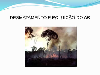 DESMATAMENTO E POLUIÇÃO DO AR
 