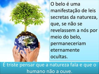É triste pensar que a natureza fala e que o
humano não a ouve.
O belo é uma
manifestação de leis
secretas da natureza,
que, se não se
revelassem a nós por
meio do belo,
permaneceriam
eternamente
ocultas.
 