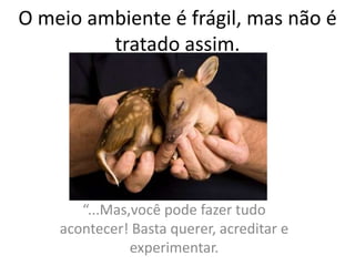 O meio ambiente é frágil, mas não é
tratado assim.
“...Mas,você pode fazer tudo
acontecer! Basta querer, acreditar e
experimentar.
 