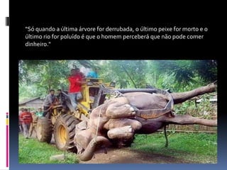 "Só quando a última árvore for derrubada, o último peixe for morto e o
último rio for poluído é que o homem perceberá que não pode comer
dinheiro."
 