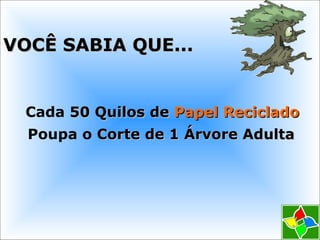 VOCÊ SABIA QUE...VOCÊ SABIA QUE...
Cada 50 Quilos de50 Quilos de Papel RecicladoPapel Reciclado
Poupa o Corte de 1 Árvore AdultaCorte de 1 Árvore Adulta
 