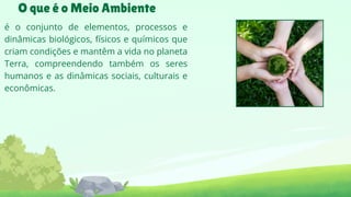 Meio Ambiente- ( Conceito , Poluição e seus tipos e entre outros ) | PDF