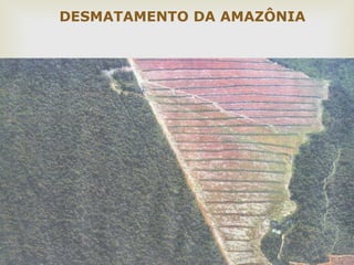 14 
DESMATAMENTO DA AMAZÔNIA 
 