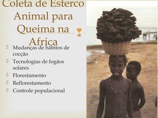  
 Mudanças de hábitos de 
cocção 
 Tecnologias de fogãos 
solares 
 Florestamento 
 Reflorestamento 
 Controle populacional 
17 
Coleta de Esterco 
Animal para 
Queima na 
Africa 
 