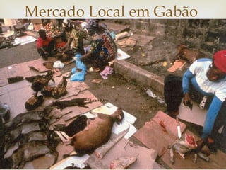 Mercado Local em Gabão 
 
24 
 