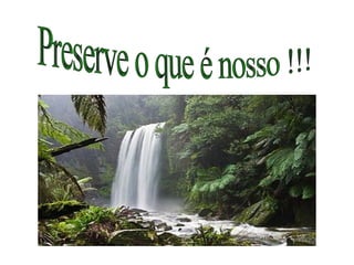 Preserve o que é nosso !!! 
