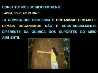 CONSTITUTIVOS DO MEIO AMBIENTE
• ÁGUA, SOLO, AR, CLIMA E...
• A QUÍMICA QUE PROCESSA O ORGANISMO HUMANO E
DEMAIS ORGANISMOS NÃO É SUBSTANCIALMENTE
DIFERENTE DA QUÍMICA DOS SUPORTES DO MEIO
AMBIENTE.
 